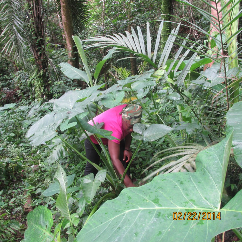 Women's Rights in  28  Villages Cameroon Africa