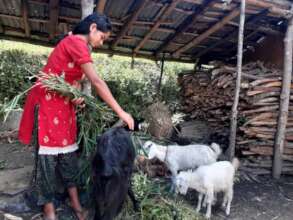 Photo of beneficiary taken during home-visit