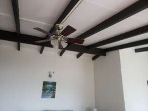 House #2- Newly installed fan and detailed ceiling