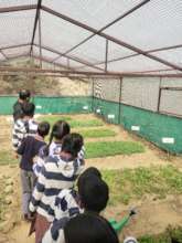 Introduction to farm based learning