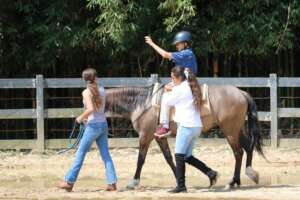 Equin Therapy