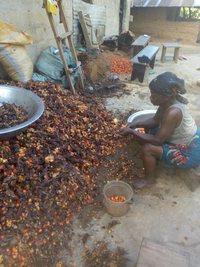 Help Build Processing Machines For 100 Uyo Farmers
