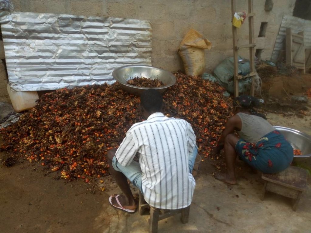Help Build Processing Machines For 100 Uyo Farmers