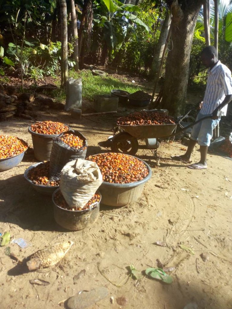 Help Build Processing Machines For 100 Uyo Farmers