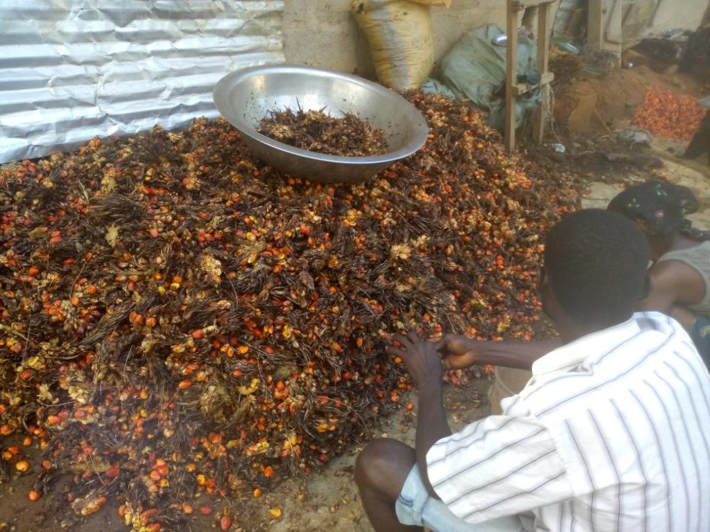 Help Build Processing Machines For 100 Uyo Farmers