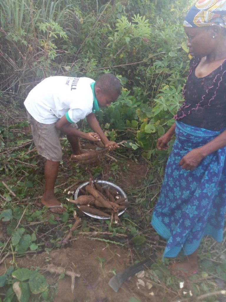 Help Build Processing Machines For 100 Uyo Farmers