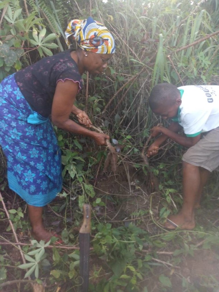 Help Build Processing Machines For 100 Uyo Farmers