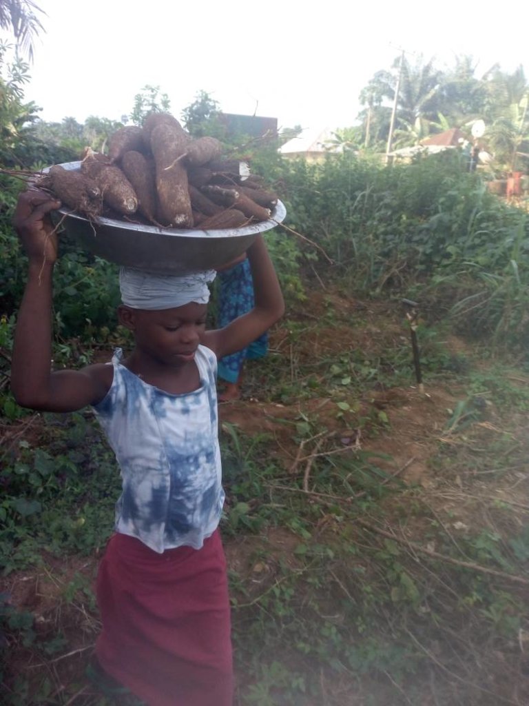 Help Build Processing Machines For 100 Uyo Farmers