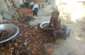 Help Build Processing Machines For 100 Uyo Farmers