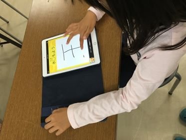 Digital Citizens Mentorship