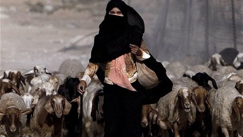 Helping 20 Bedouin women start a cultural co-op