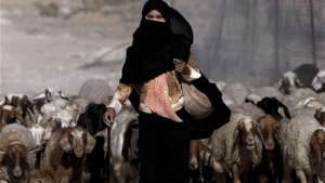 A female shepherd from NAQAB