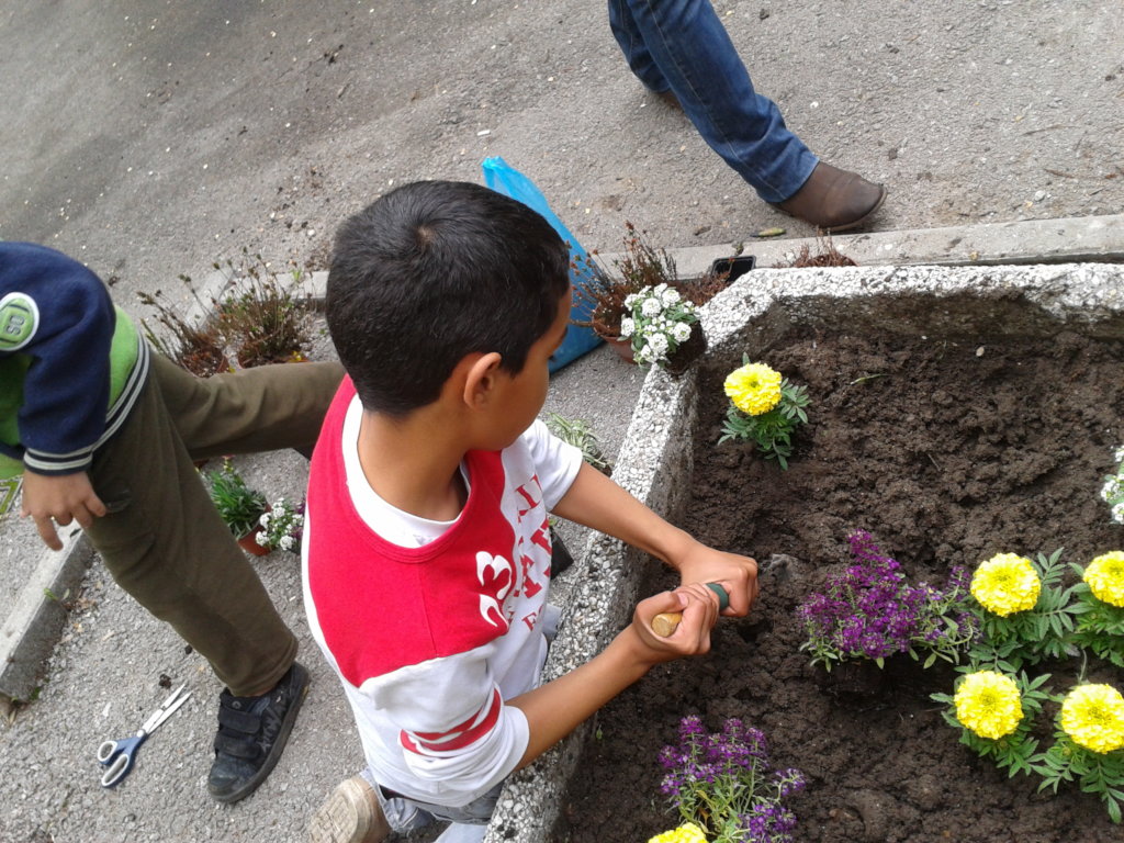 Pragmatic and Adaptive Skills for Children at Risk