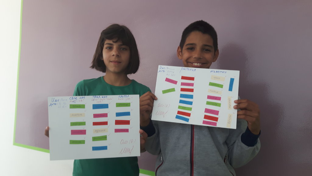 Pragmatic and Adaptive Skills for Children at Risk