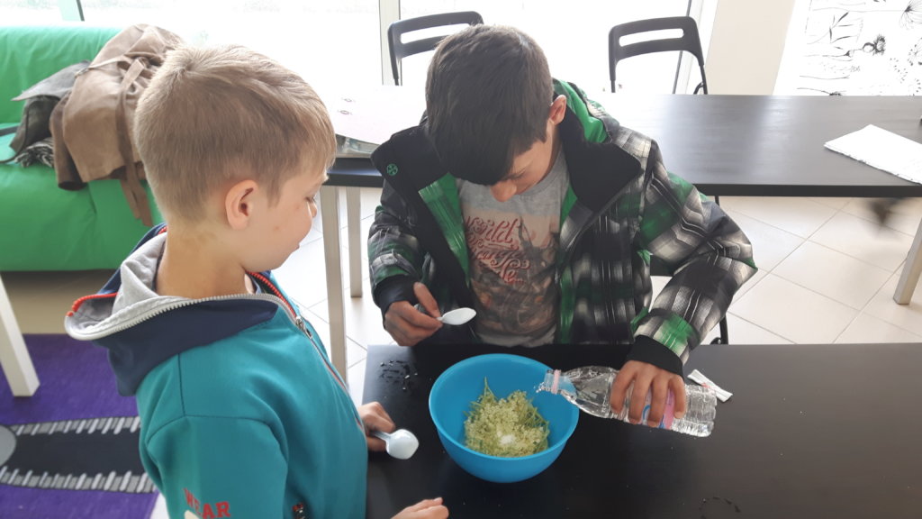 Pragmatic and Adaptive Skills for Children at Risk