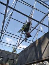 Traditional Ceremony for safety of the Labourer