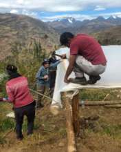 Roofing family greenhouses