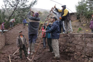 Roofing family greenhouses