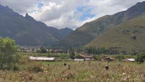 Ayni shucking corn in Saccllo