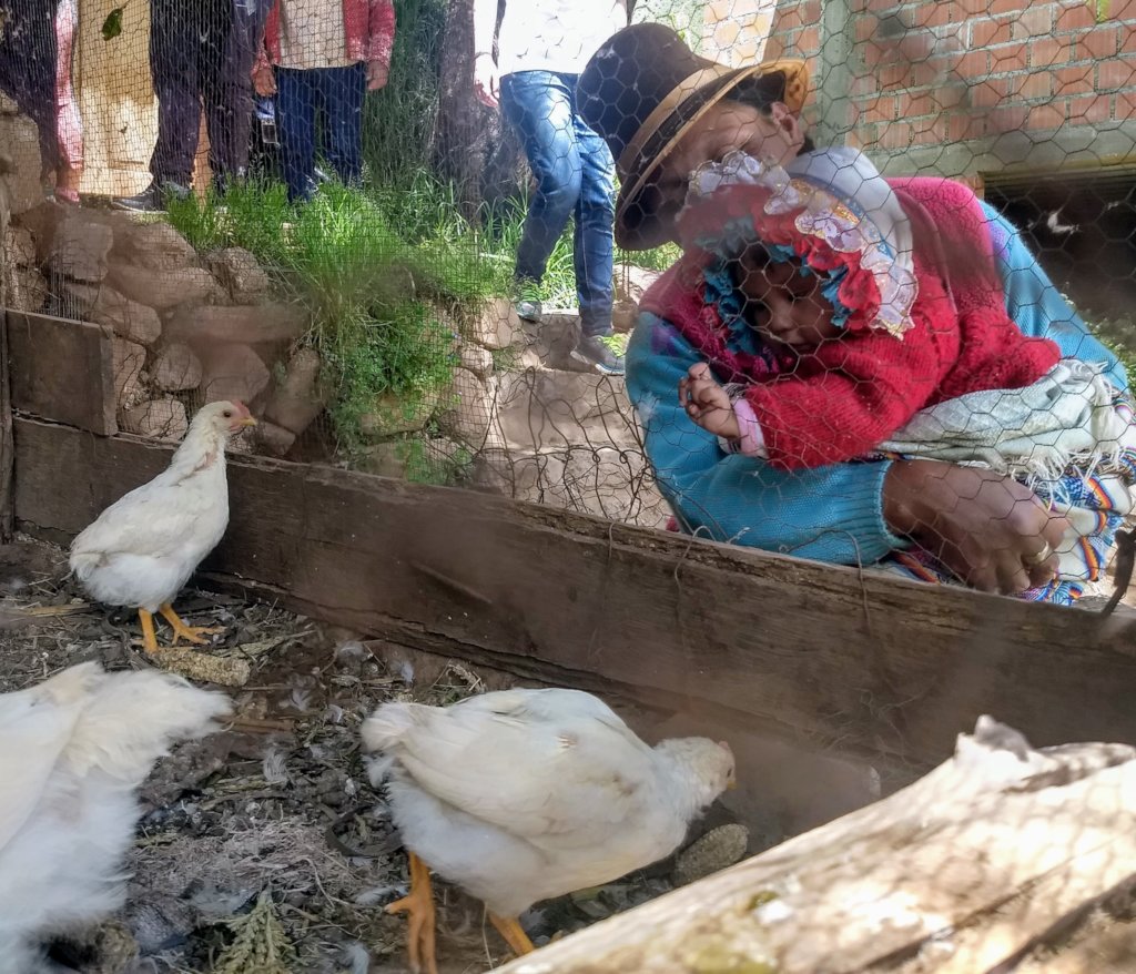 Sustainable livelihoods for rural Andean farmers