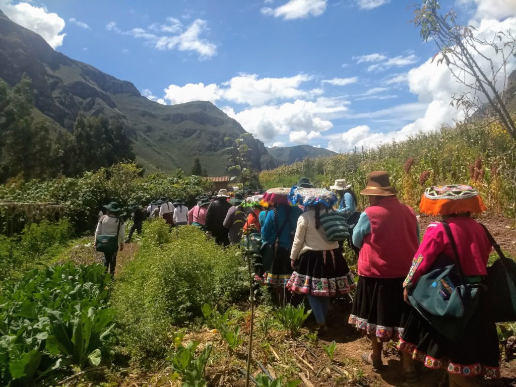 Sustainable livelihoods for rural Andean farmers