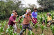 Sustainable livelihoods for rural Andean farmers
