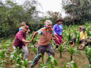 Sustainable livelihoods for rural Andean farmers