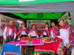 Qenqo strawberry farmers at an expo