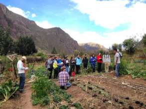 Discussing market opportunities