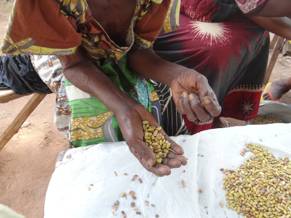 Stand with displaced people in the DRC