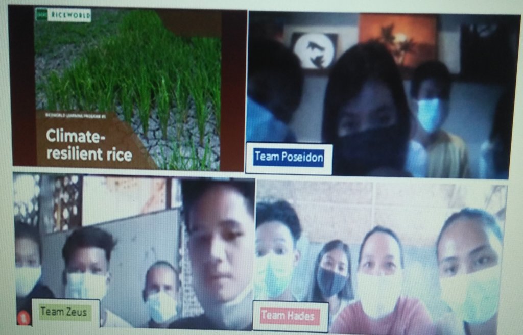 Virtual visit to RiceWorld