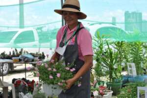 Beutiful plants grown from seeds.