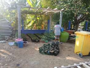Taking care of the cuttings.