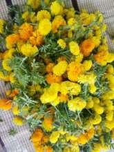 Yellow religious ceremony flowers ready for sale.