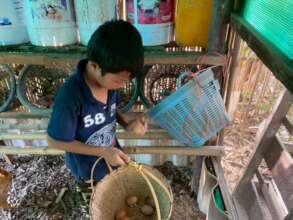 Learning to collect the eggs