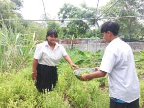 Students learn about agriculture.