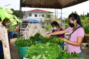 Successful student off to market with her produce.