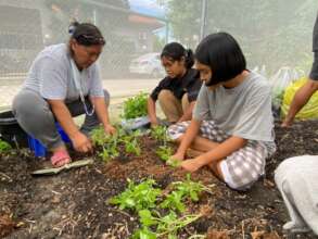 Learning to grow food