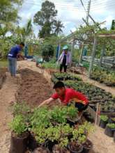 Our team growing the flowers.