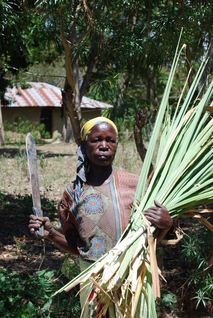 Preventing Malnutrition Among Women and Children