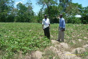 Demonstration site
