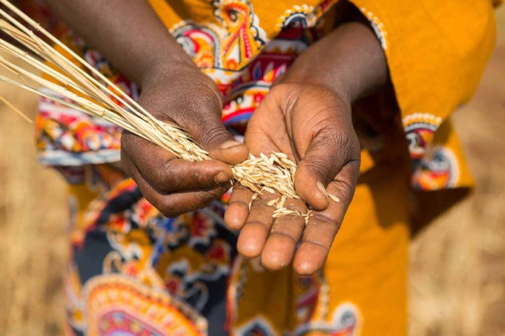 Economic Empowerment for Women in Tanzania