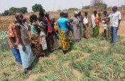 Sustainable Livelihood for 400 Burkina Women