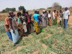 Sustainable Livelihood for 400 Burkina Women