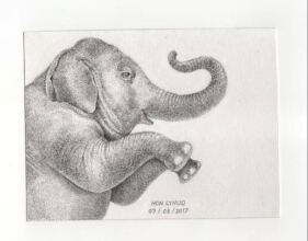 Student Elephant drawing for Rafflles Hotel 2019