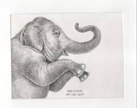 Student drawing of an Elephant