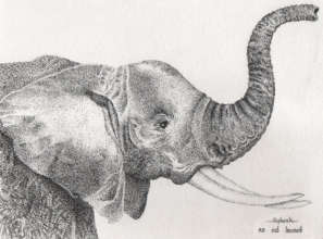 Elephant by Sopheak