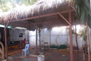 New thatch canopy to cover "guest" seating area