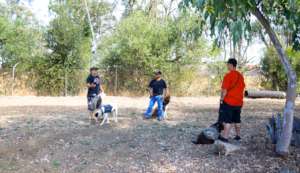 Training with Head Mentor Trainer & Veteran Regina