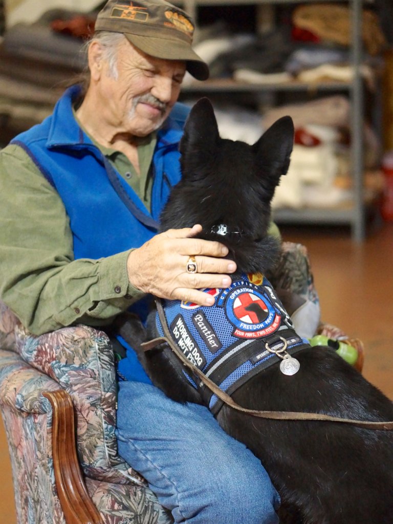 Training Service Dogs for Veterans!
